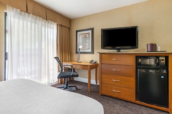 Suite, 1 Queen Bed, Non Smoking, Refrigerator & Microwave