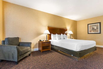 Business Room, 1 King Bed, Non Smoking, Refrigerator & Microwave