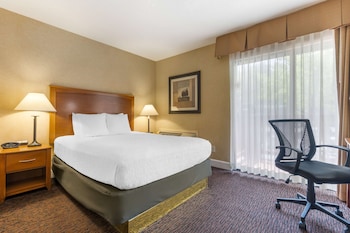 Suite, 1 Queen Bed, Non Smoking, Refrigerator & Microwave