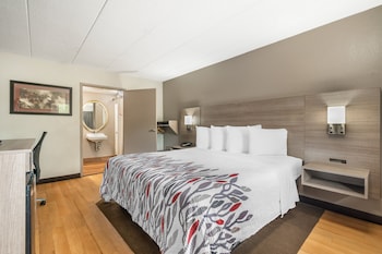 Deluxe Room, 1 King Bed, Accessible (Roll-In Shower, Smoke Free)