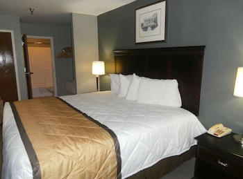 Room, 1 King Bed, Non Smoking