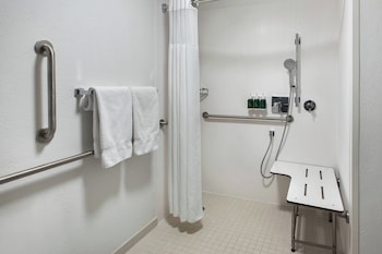 Room, 1 King Bed with Sofa bed (Mobility/Hearing Access, Roll-In Shwr)