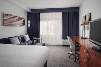 Room, 1 King Bed with Sofa bed (Mobility/Hearing Access, Roll-In Shwr)