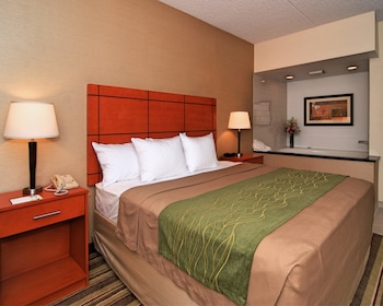 Room, 1 King Bed, Non Smoking (Upgrade)
