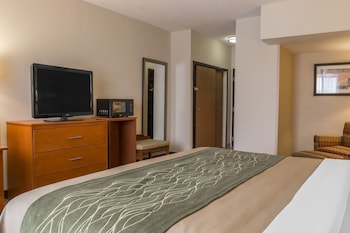 Standard Room, 1 King Bed, Non Smoking