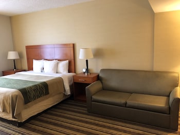 Deluxe Room, 1 King Bed with Sofa bed, Non Smoking (2 Person Sofa bed, Shower only)