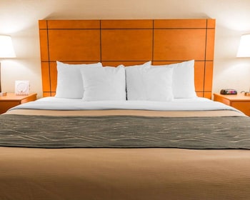 Deluxe Room, 1 King Bed, Non Smoking