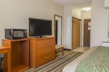 Room, 1 King Bed, Accessible, Non Smoking