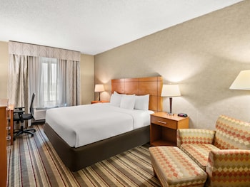 Standard Room, 1 King Bed, Non Smoking