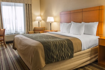 Deluxe Room, 1 King Bed, Non Smoking