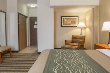 Standard Room, 1 King Bed, Non Smoking