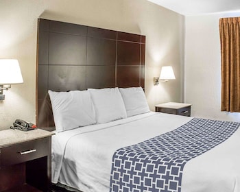 Standard Room, 1 King Bed, Non Smoking