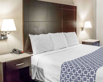 Standard Room, 1 King Bed, Non Smoking
