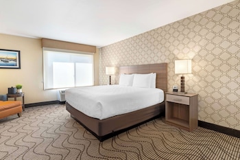 Standard Room, 1 King Bed, Non Smoking, Refrigerator & Microwave