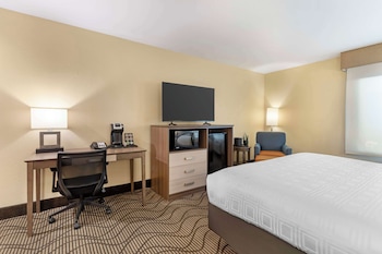 Standard Room, 1 King Bed, Accessible, Refrigerator & Microwave