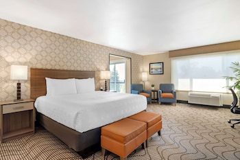Suite, 1 King Bed, Non Smoking, Balcony