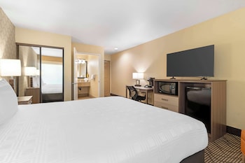 Standard Room, 1 King Bed, Accessible, Refrigerator & Microwave