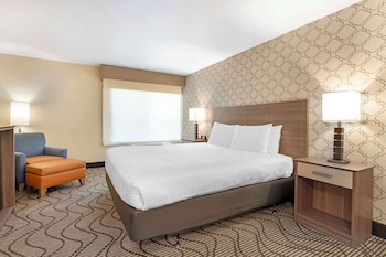 Standard Room, 1 King Bed, Accessible, Refrigerator & Microwave