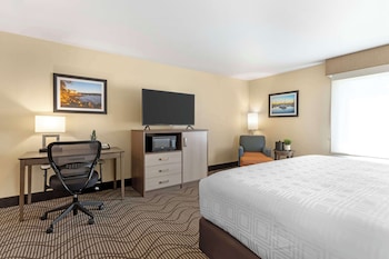 Standard Room, 1 King Bed, Non Smoking, Refrigerator & Microwave