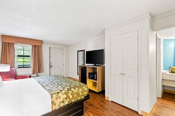 Room, 1 King Bed, Smoking