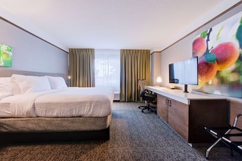 Room, 1 King Bed, Accessible