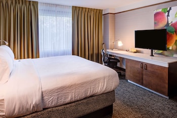 Room, 1 King Bed, Accessible