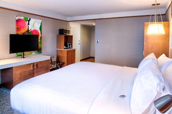 Room, 1 King Bed, Accessible
