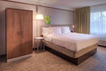 Room, 1 King Bed, Accessible