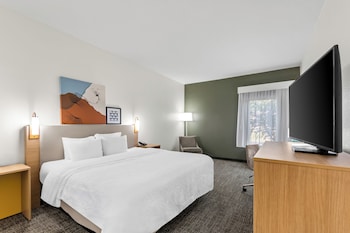 Room, 1 King Bed