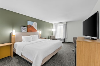 Room, 1 King Bed