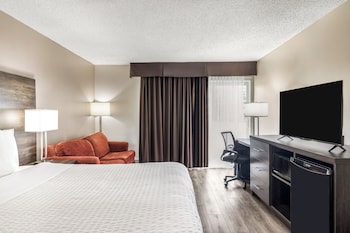 Standard Room, 1 King Bed, Non Smoking