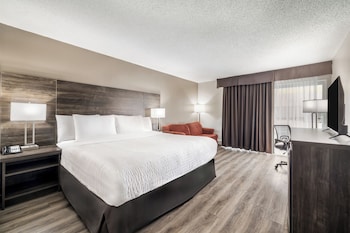 Standard Room, 1 King Bed, Non Smoking