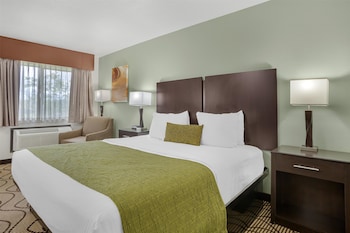 Standard Room, 1 King Bed, Accessible, Non Smoking