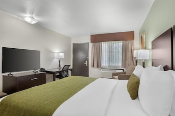 Standard Room, 1 King Bed, Accessible, Non Smoking