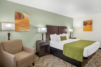 Standard Room, 1 King Bed, Accessible, Non Smoking
