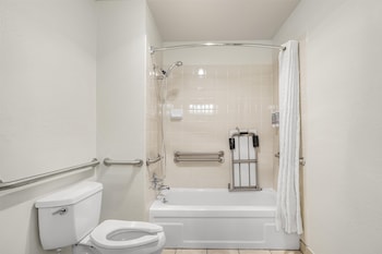 Standard Room, 1 Queen Bed, Accessible, Non Smoking (Walk-in Shower)