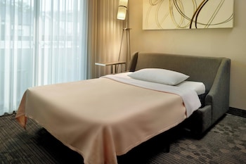 Room, 1 King Bed (Mobility/Hearing Access, Roll-In Shwr)