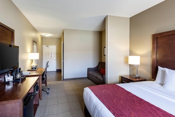 Suite, 1 King Bed with Sofa bed, Accessible, Non Smoking