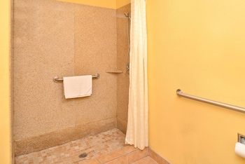 Room, 1 King Bed, Accessible, Non Smoking