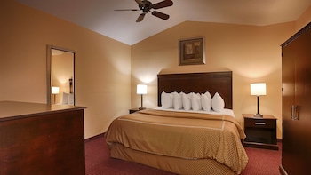 Room, 1 King Bed, Non Smoking