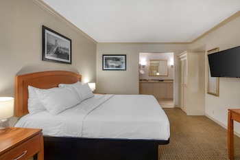 Standard Room, 1 King Bed, Non Smoking