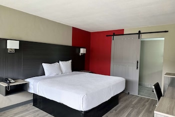 Room, 1 King Bed, Non Smoking, Ground Floor