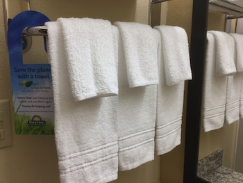 Room, 1 King Bed, Non Smoking (Mobility/Hearing, walk-in shower)