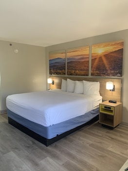 Standard Room, 1 King Bed, Non Smoking