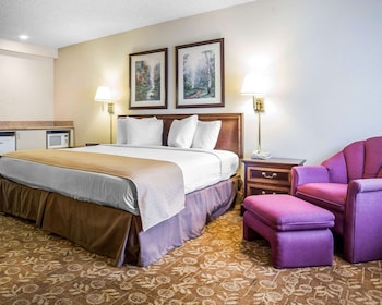 Standard Room, 1 King Bed, Non Smoking