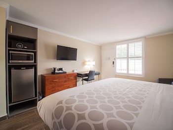 Junior Room, 1 King Bed