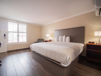 Junior Room, 1 King Bed