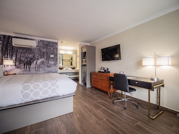 Junior Room, 1 King Bed