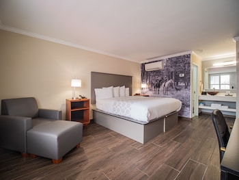 Junior Room, 1 King Bed