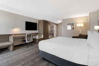 Suite, 1 King Bed, Mobility Accessible, Refrigerator & Microwave (Roll-In Shower)